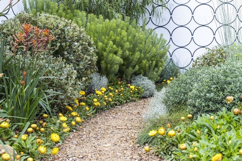 Native Plants in Landscape Design