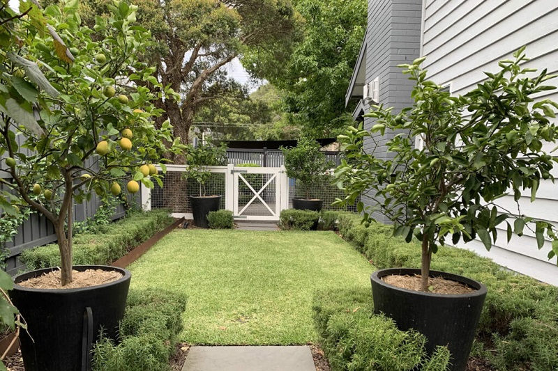 Planning Your Garden Layout