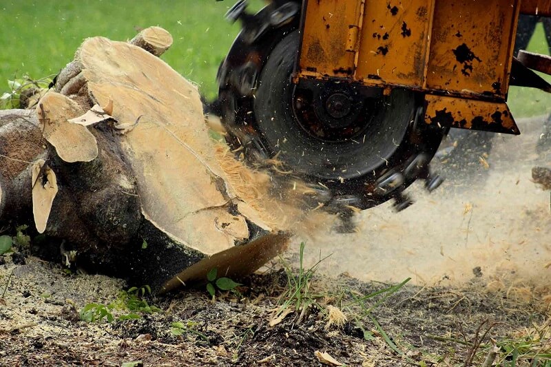 Tree Stump Removal