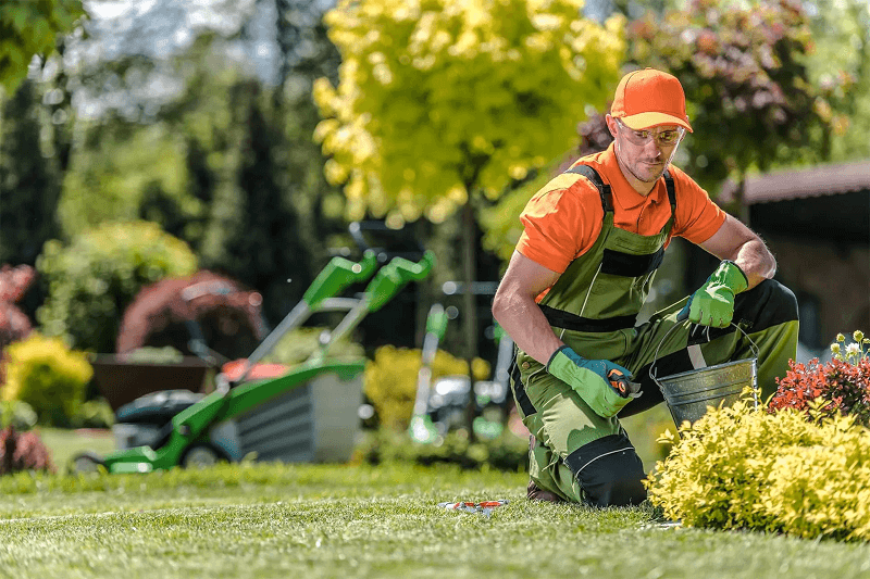 Nazscapes Garden Restorations