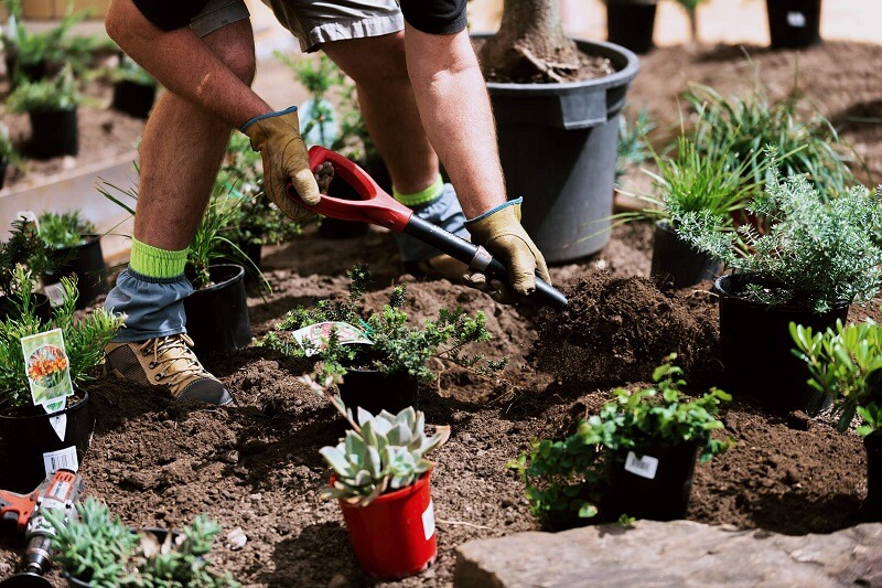 Gardening Service