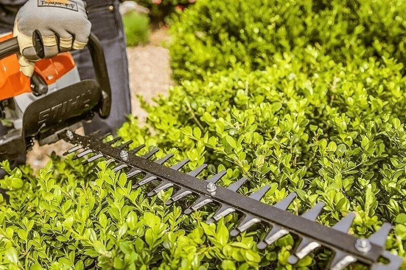 Hedging Services