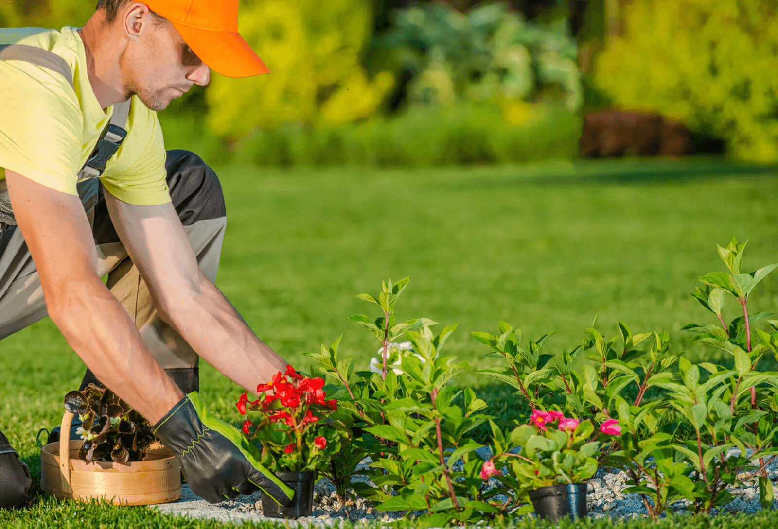 Affordable landscapers creating a beautiful outdoor space