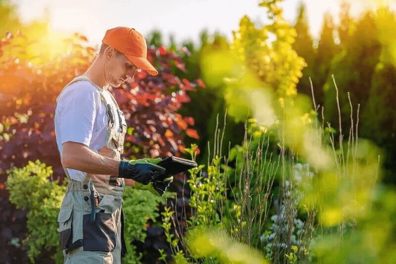 Professional landscapers transforming an outdoor space