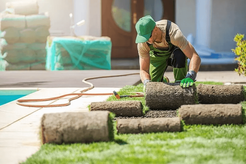 Turfing Services in Denistone